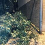 Sul Informação - Olhão: Vento forte provoca danos no Pavilhão Municipal e danifica viaturas (com fotos)