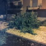 Sul Informação - Olhão: Vento forte provoca danos no Pavilhão Municipal e danifica viaturas (com fotos)