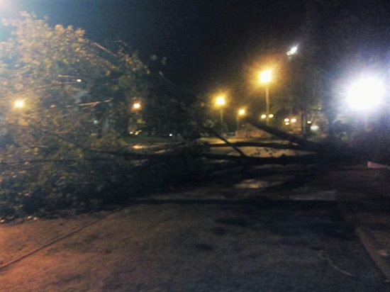 Sul Informação - Olhão: Vento forte provoca danos no Pavilhão Municipal e danifica viaturas (com fotos)
