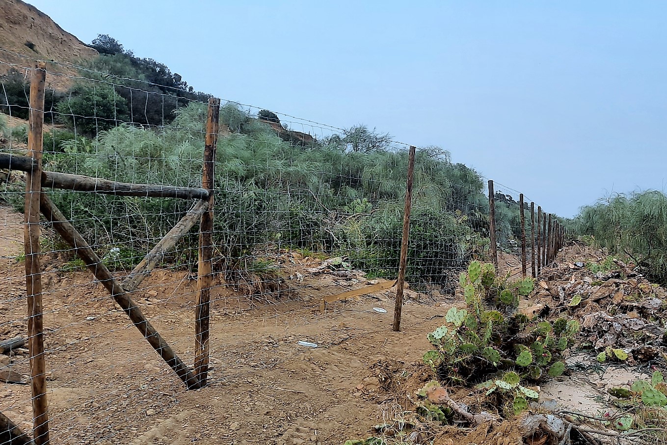 Sul Informação - ICNF embarga construção de muro, estrada e vedação em plena Ria Formosa