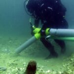 Sul Informação - Primeira ânfora romana do tipo Dressel 1 intacta recuperada por arqueólogos em Portugal foi recolhida no Arade