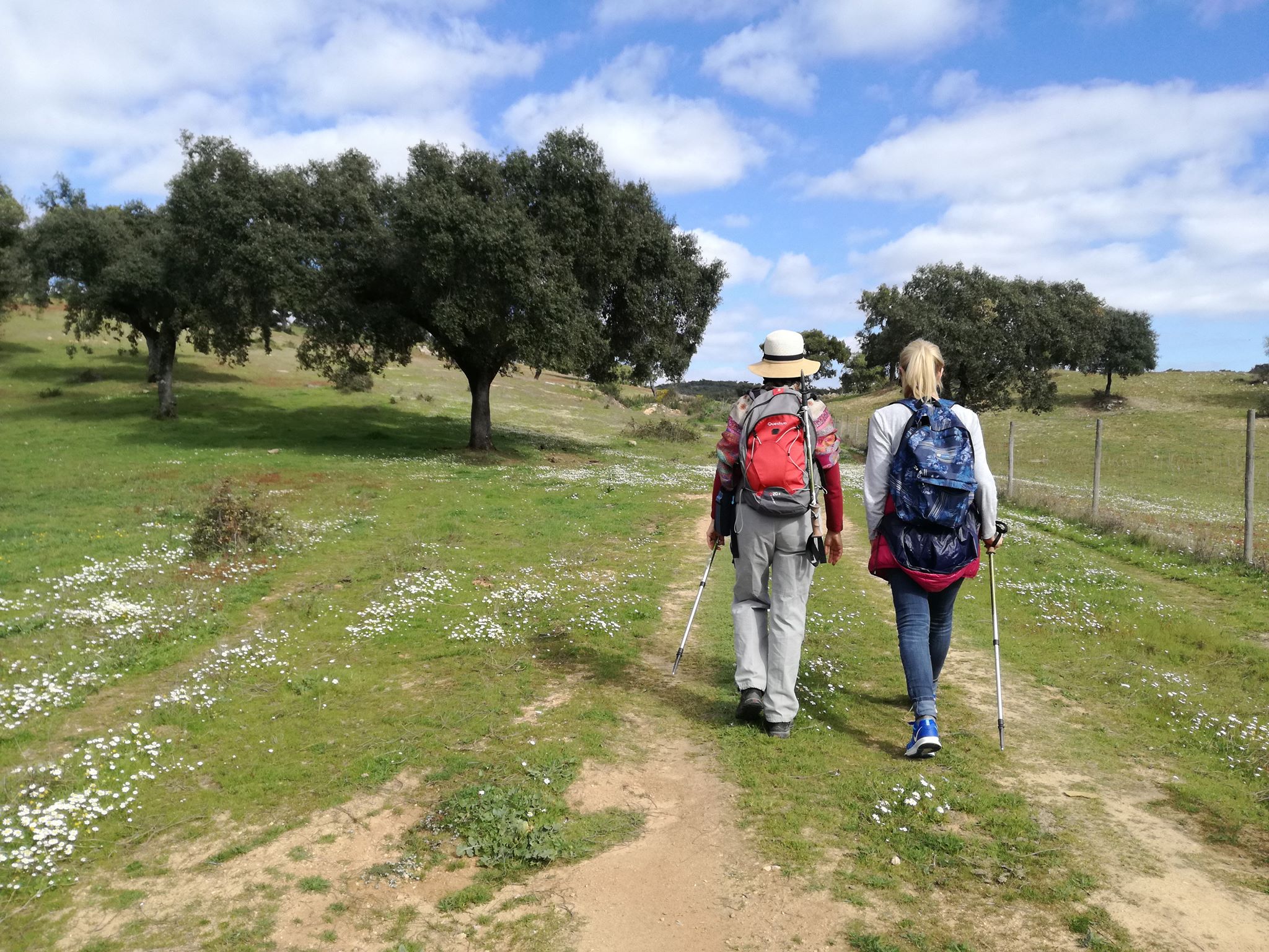 Sul Informação - Festival de Caminhadas TransAlentejo promove um mês de caminhadas para descobrir a região