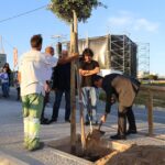 Sul Informação - Trovante plantaram oito árvores ao longo da “sua” rua em Sagres…e à noite houve música