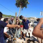Sul Informação - Trovante plantaram oito árvores ao longo da “sua” rua em Sagres…e à noite houve música