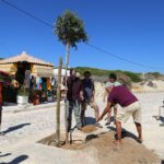 Sul Informação - Trovante plantaram oito árvores ao longo da “sua” rua em Sagres…e à noite houve música