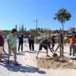 Sul Informação - Trovante plantaram oito árvores ao longo da “sua” rua em Sagres…e à noite houve música