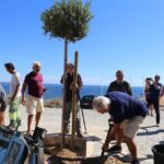 Sul Informação - Trovante plantaram oito árvores ao longo da “sua” rua em Sagres…e à noite houve música