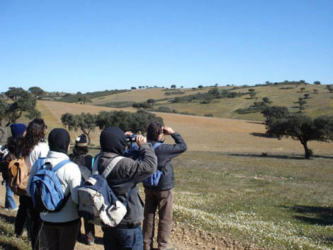 Sul Informação - Seminário em Castro Verde debate potencialidades do Turismo Ornitológico nas áreas rurais
