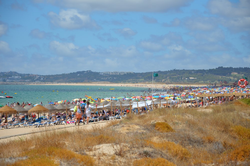 Sul Informação - Obra de reforço do cordão dunar da praia de Alvor será suspensa durante o Verão