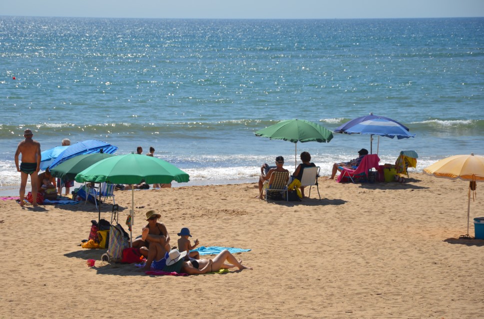 Sul Informação - Metade das Câmaras do Algarve não aceita nenhuma competência [com infografia]
