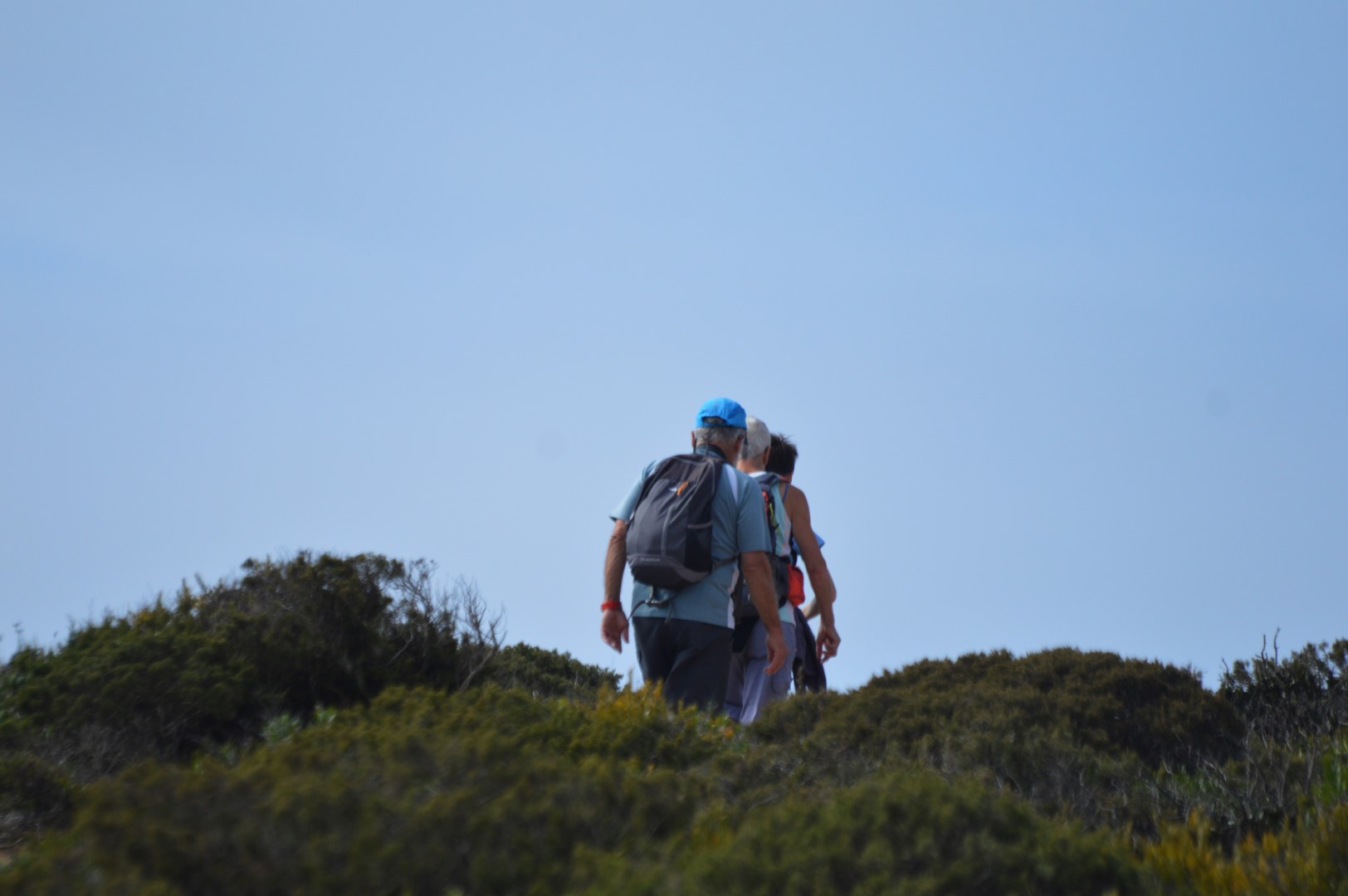 Sul Informação - Formação em Turismo Sustentável reforça cooperação entre Alentejo, Algarve e Andaluzia