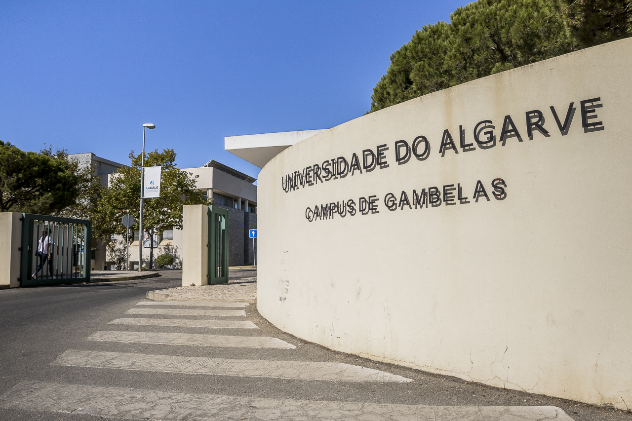 Sul Informação - Investigadores da UAlg facilitam acesso a base de dados sobre doenças complexas
