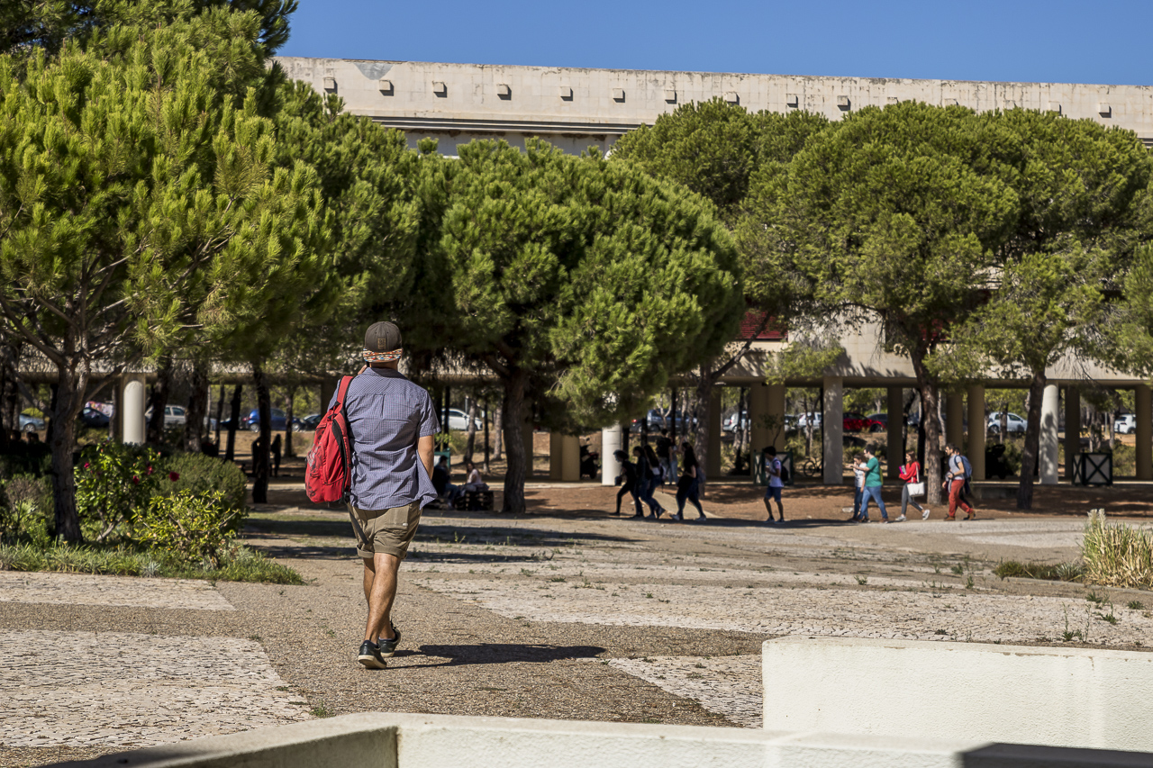 Sul Informação - Universidade do Algarve confirma expetativas e recebe 51 alunos na 3ª fase