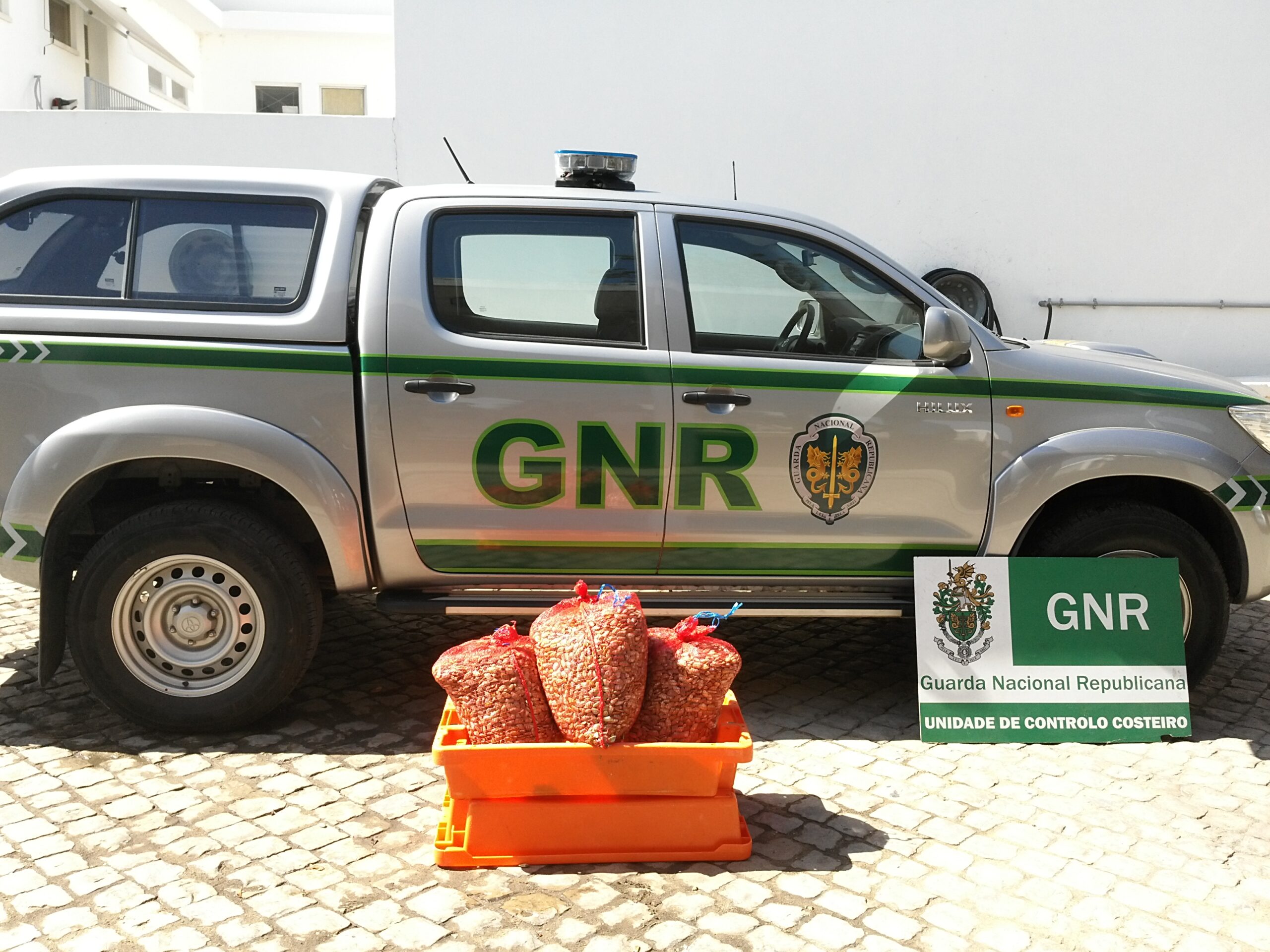 Sul Informação - Apreendidas conquilhas transportadas em fundo falso de carrinha