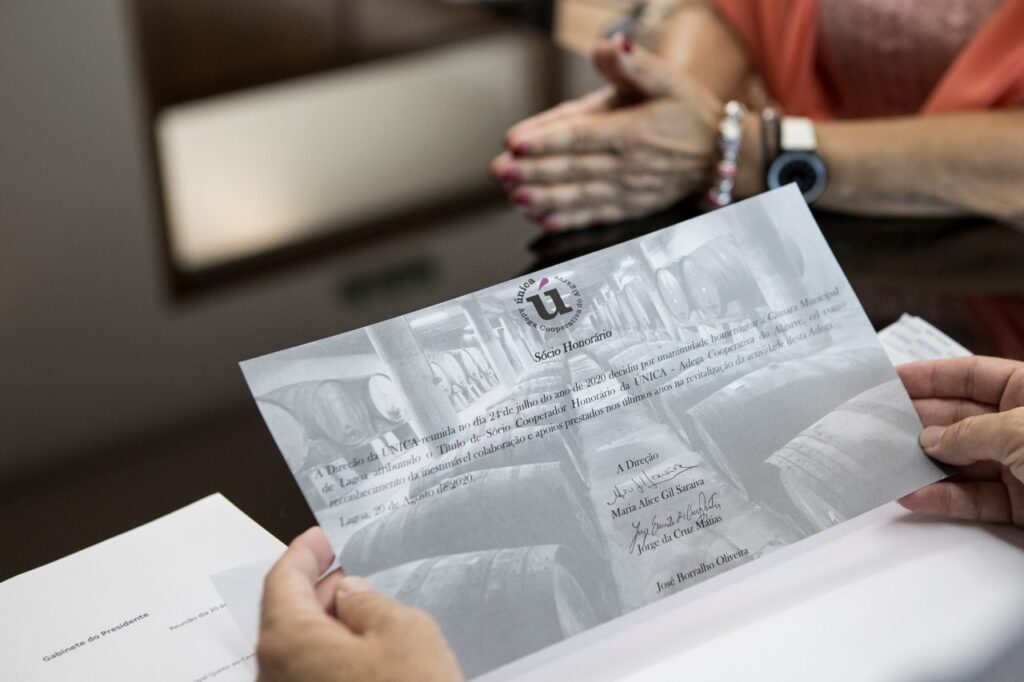 Sul Informação