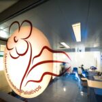 Sul Informação - Projeto inédito está a mapear as necessidades de Cuidados Paliativos em Aljezur