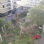 Sul Informação - Como se classifica a destruição do património natural de uma cidade?
