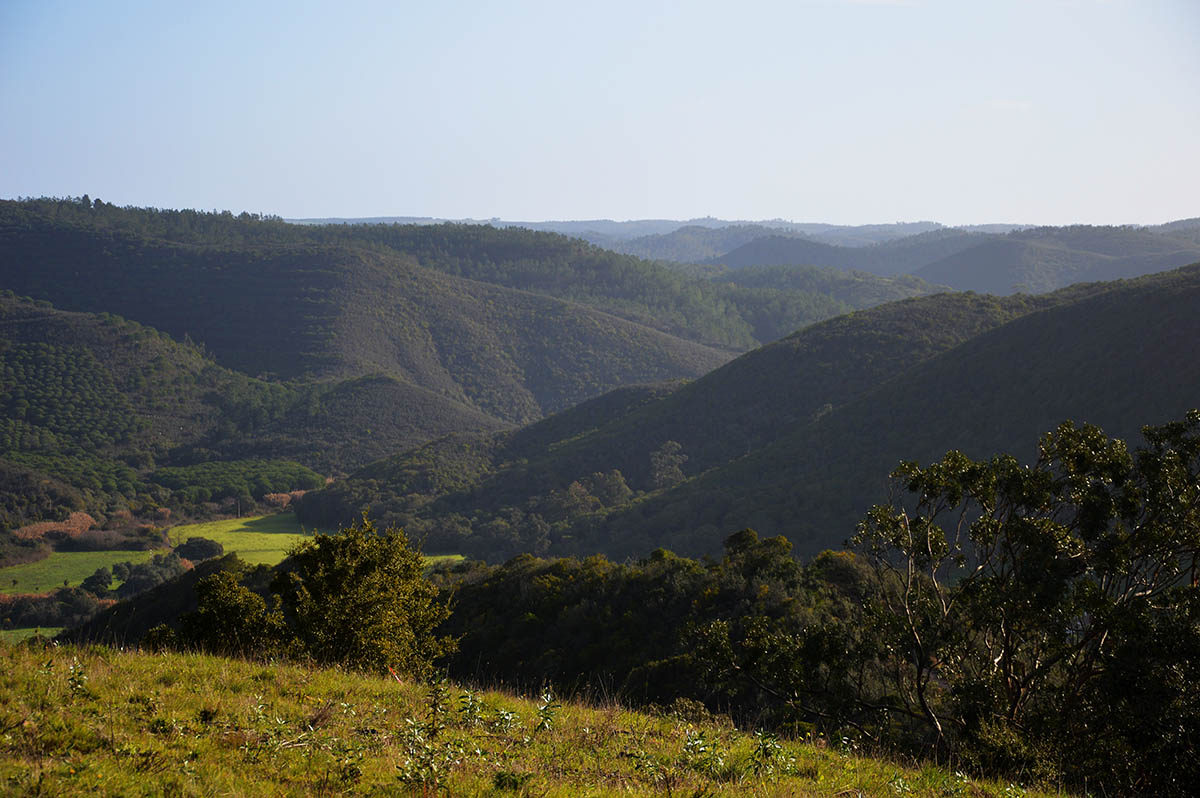 Sul Informação - Nova lei-orgânica do ICNF é «mais um entrave à Instituição e à conservação da natureza»