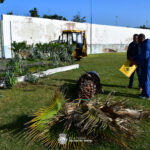 Sul Informação - Câmara Municipal condena «de forma veemente» vandalismo no Complexo Desportivo de VRSA