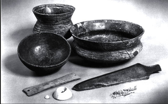 Sul Informação - Cultura ibérica influenciou a Europa há 5000 anos