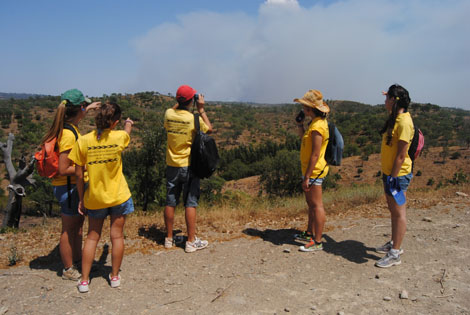 Sul Informação - Jovens de Loulé desafiados a ajudar na prevenção de incêndios