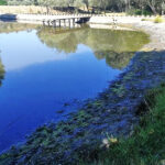 Sul Informação - APA exige que Associação de Beneficiários do Mira reponha caudal ecológico do rio