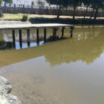 Sul Informação - APA exige que Associação de Beneficiários do Mira reponha caudal ecológico do rio