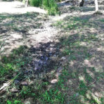 Sul Informação - APA exige que Associação de Beneficiários do Mira reponha caudal ecológico do rio
