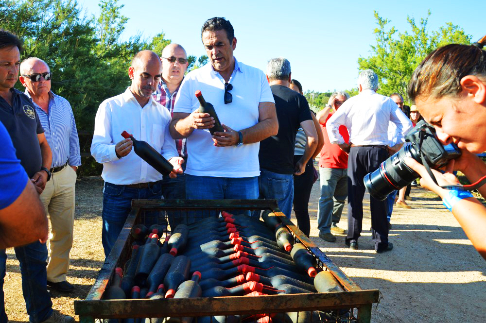 Sul Informação - Mergulho nas águas do Arade ajuda a apurar qualidade de 3200 garrafas de vinho de Lagoa