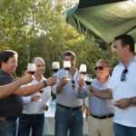 Sul Informação - Mergulho nas águas do Arade ajuda a apurar qualidade de 3200 garrafas de vinho de Lagoa