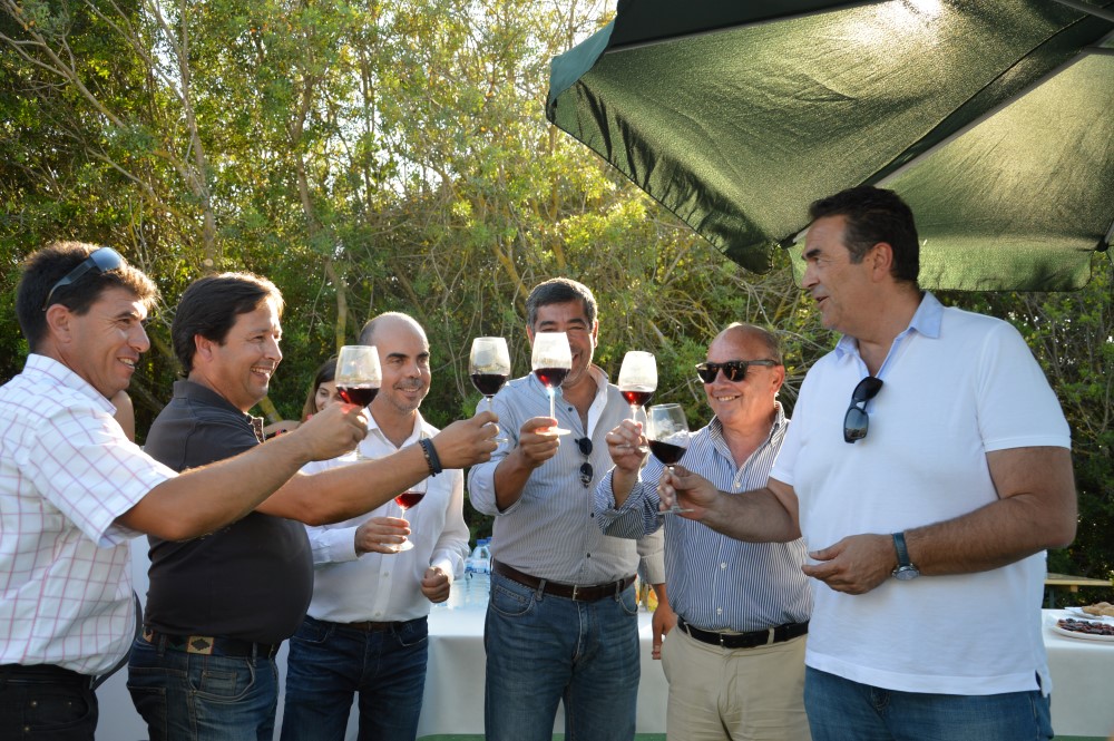 Sul Informação - Mergulho nas águas do Arade ajuda a apurar qualidade de 3200 garrafas de vinho de Lagoa