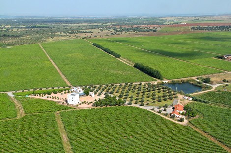 Sul Informação - Reguengos de Monsaraz e Borba debatem o vinho do Alentejo