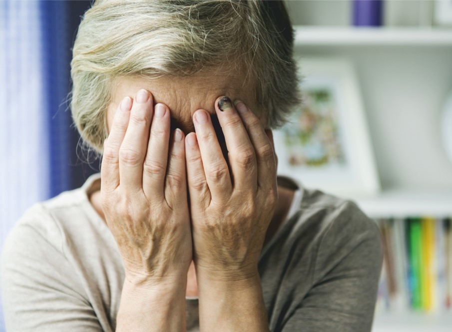 Sul Informação - Silves acolhe ação de formação sobre violência doméstica contra idosos
