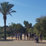 Sul Informação - Alunos da Secundária de Olhão fazem visita de estudo «especial» a Huelva e Sevilha