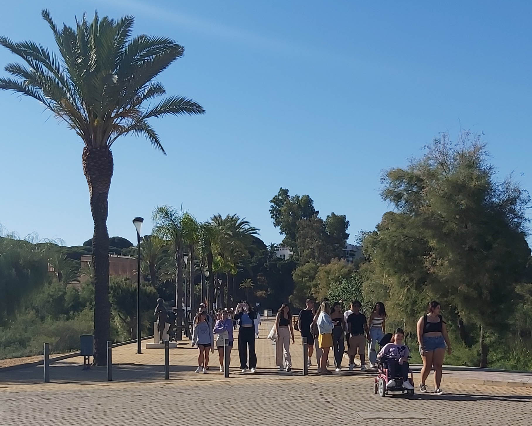 Sul Informação - Alunos da Secundária de Olhão fazem visita de estudo «especial» a Huelva e Sevilha