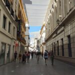 Sul Informação - Alunos da Secundária de Olhão fazem visita de estudo «especial» a Huelva e Sevilha