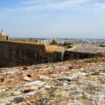 Sul Informação - Amigos do Museu de Portimão visitaram museu “irmão” em Setúbal