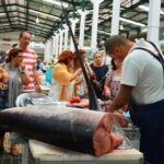 Sul Informação - Amigos do Museu de Portimão visitaram museu “irmão” em Setúbal