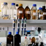 Sul Informação - Produtores do Baixo Guadiana foram até à Universidade do Algarve e saíram de lá com muitos amigos