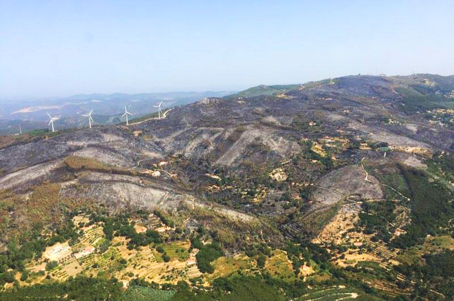 Sul Informação - Incêndios da Fóia e Porto de Lagos consumiram 400 hectares em 26 horas
