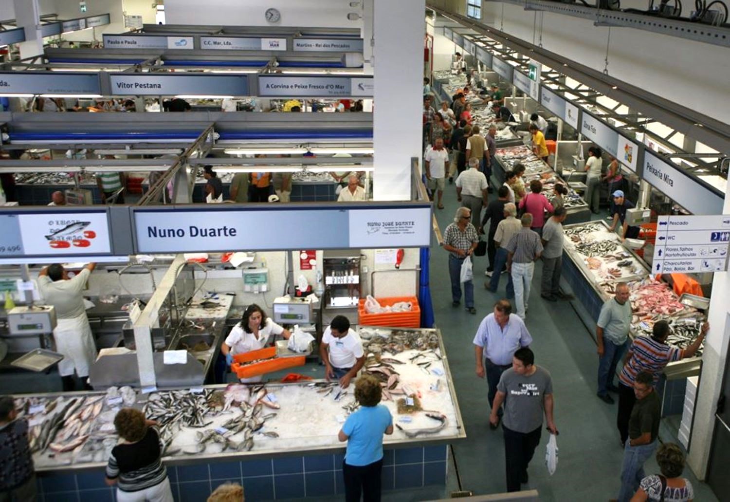 Sul Informação - Mercado de Portimão tem módulo disponível em hasta pública