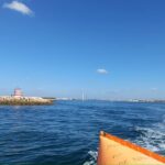 Sul Informação - 28ª Volta ao Algarve à Vela já está a navegar