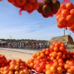 Sul Informação - Fotogaleria: Emoções do ciclismo regressam com a Volta ao Algarve 2017