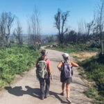 Sul Informação - Voluntários ajudaram a revitalizar trilhos destruídos na Serra de Monchique
