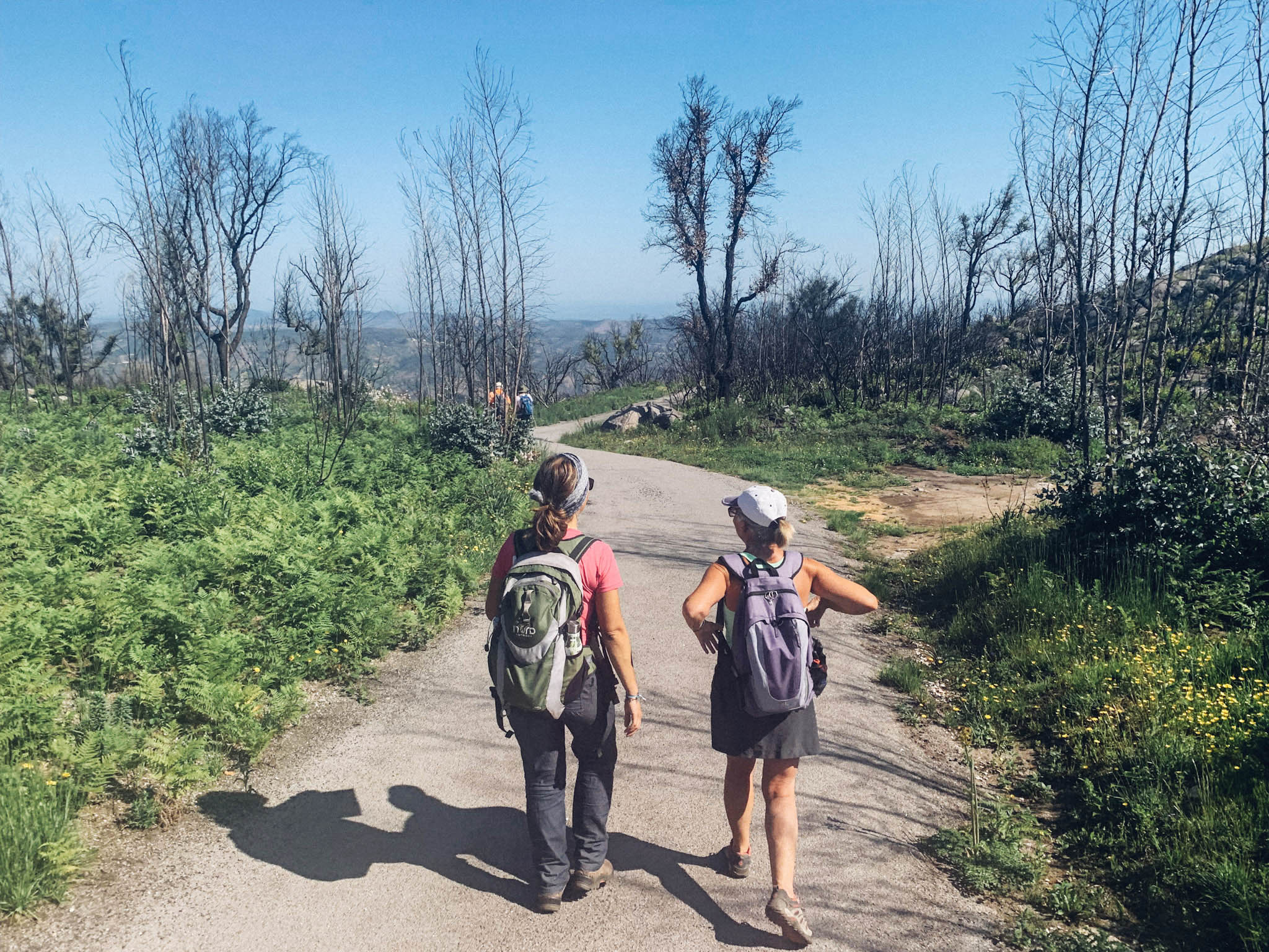 Sul Informação - Voluntários ajudaram a revitalizar trilhos destruídos na Serra de Monchique