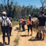 Sul Informação - Voluntários ajudaram a revitalizar trilhos destruídos na Serra de Monchique