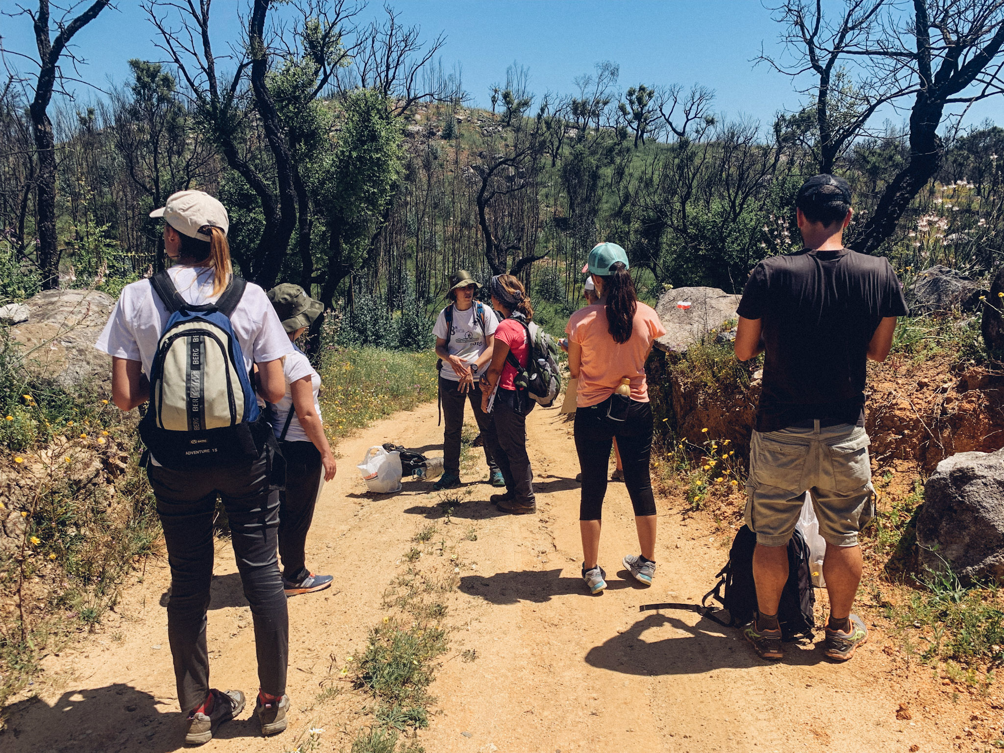 Sul Informação - Voluntários ajudaram a revitalizar trilhos destruídos na Serra de Monchique