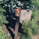 Sul Informação - Voluntários ajudaram a revitalizar trilhos destruídos na Serra de Monchique