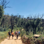 Sul Informação - Voluntários ajudaram a revitalizar trilhos destruídos na Serra de Monchique