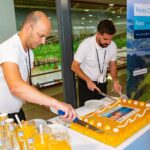 Sul Informação - Novo voo entre Faro e Açores já “catapulta” turistas da América do Norte para o Algarve